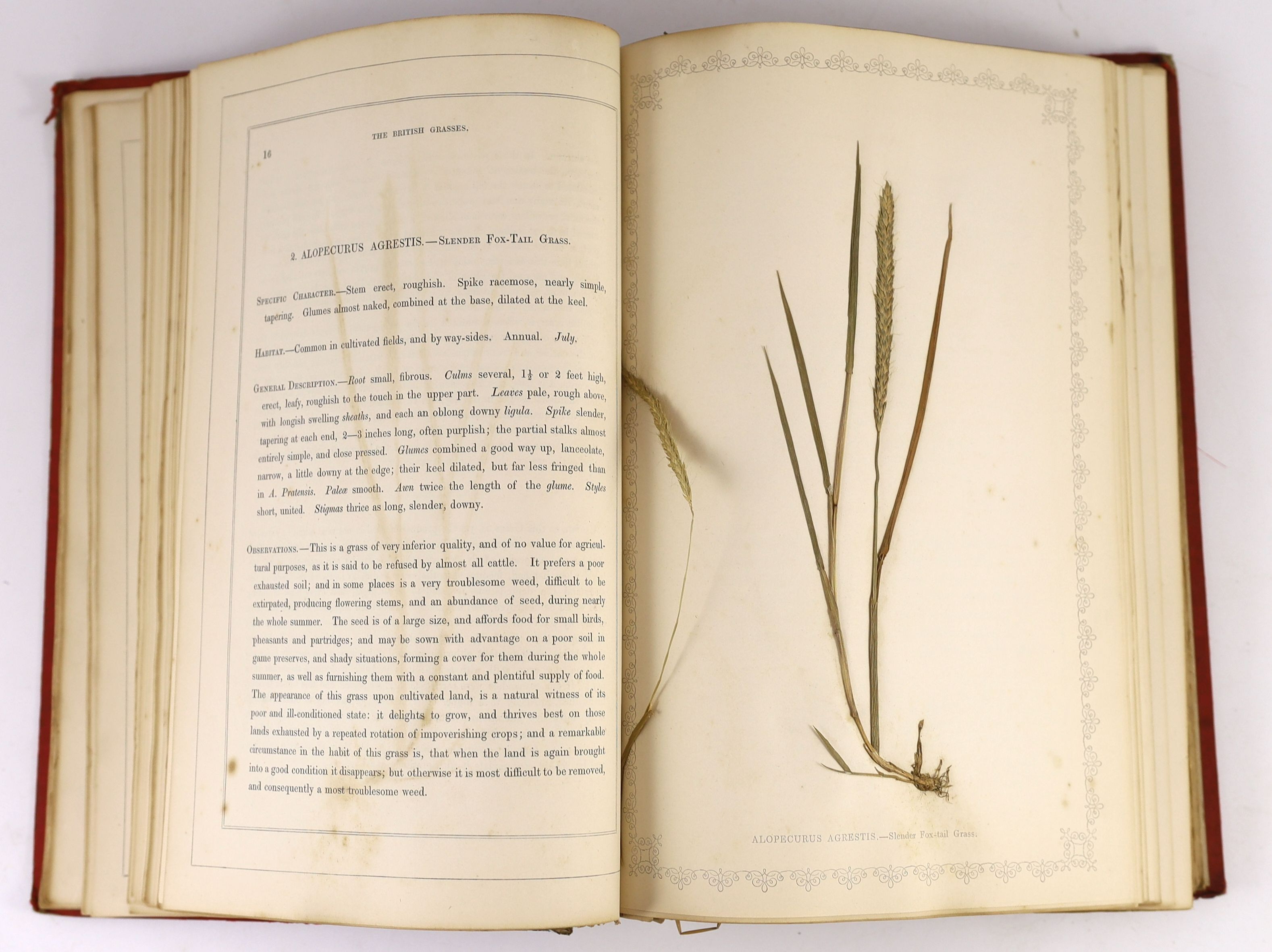 Hanham, Frederick (editor) - Natural Illustrations of The British Grasses, 1st edition, folio, red watered silk, by Astle & Sins, with 62 pages of actual specimens of dried grasses, spine crudely repaired with tape, Bath